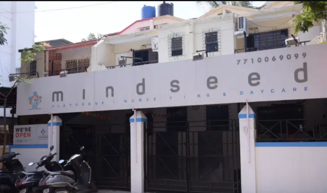  Mindseed Preschool & Daycare