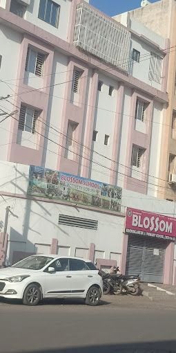  Blossom Kindergarten and Primary School