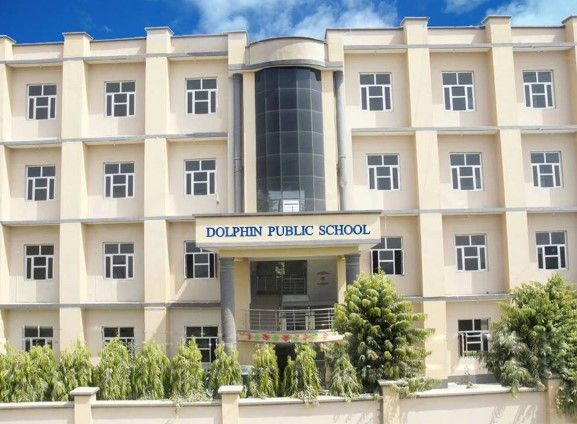  Dolphin Public School