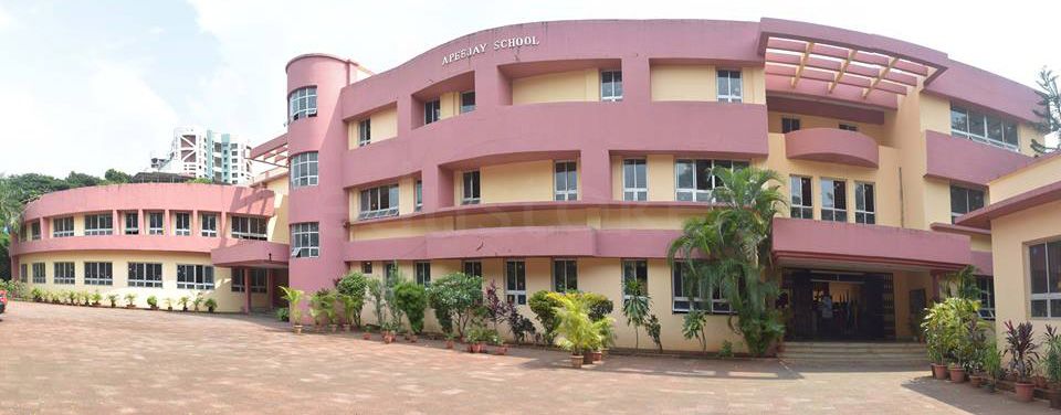  Apeejay School