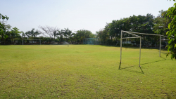 Podar International School  - Yavatmal Galley Image 4