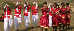 Jawahar Navodaya Vidyalaya Galley Image 4