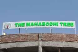 The Mahabodhi Tree,  PS MAGADH UNIVERSITY , boarding school in Gaya