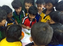 Tattva School Galley Image 4