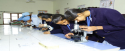 Punjab Public Senior Secondary School Galley Image 4