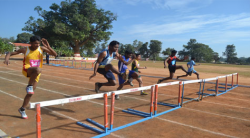 Jawahar Navodaya Vidyalaya Galley Image 3