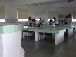 Shamrock Christian Senior Secondary School Galley Image 2