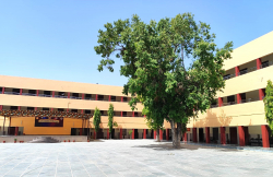 Schools in Sonepat, Kanya Gurukul Senior Secondary School, B.P.S. Mahila Vishwavidyalaya,Khanpur Kalan, Sonepat, Sonepat