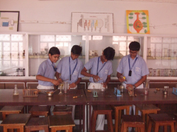 St. Francis Convent School Galley Image 4