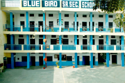 Day School in Faridabad, BLUE BIRD SENIOR SECONDARY SCHOOL,  S G M NAGAR, SGM Nagar, Sector 48, Faridabad, Faridabad