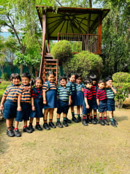 Schools in Sector 141, Noida, Delhi Public School, B-1, Sector-132, Expressway, Gautam Buddh Nagar, Sector 132, Noida