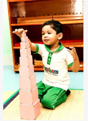 Pre schools, Playschools schools in HAL Layout, Bangalore, Vriksham Montessori House of Children HAL, 531, Post, 1, 7th Cross Rd, next to MAHAVEER SANCTUM, LBS Nagar, HAL, Bengaluru, Karnataka , HAL, Bengaluru