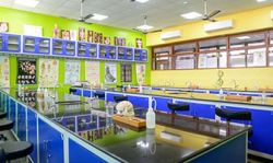 Holy Writ High School & Junior College Galley Image 2