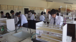 G D BIRLA MEMORIAL SCHOOL Galley Image 4