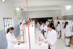 Rani Laxmi Bai Memorial School Galley Image 3