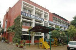 Blossoms School Galley Image 4