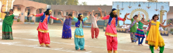 Jawahar Navodaya Vidyalaya Galley Image 1