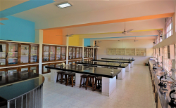 CARMEL CONVENT SCHOOL Galley Image 3