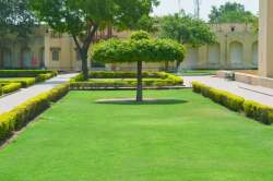 Jawahar Navodaya Vidyalaya Galley Image 3