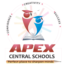 APEX CENTRAL SCHOOL Galley Image 1