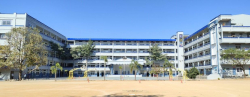 ICSE Schools in RTC X Road, Hyderabad, ST. JOSEPHS SCHOOL, No 8-11,Ravindra nagar st.no:8 hubsiguda, Ravindra Nagar,Habsiguda, Hyderabad