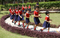 maple bear canadian pre school, modipuram, meerut Galley Image 4