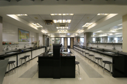 SVKM International School Galley Image 4