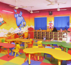 Wonder kidz Galley Image 2