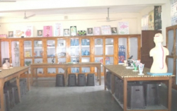 Sacred Heart Convent School Galley Image 3