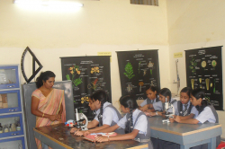 SREE NATARAJA PUBLIC SCHOOL Galley Image 2