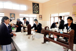 Shri Guru Ram Rai Public School Galley Image 4