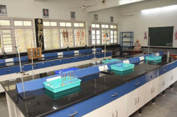 Cosmopolitan Primary School Galley Image 4