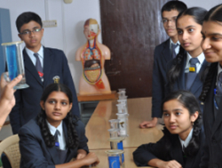 H.M. Senior Secondry School Galley Image 4