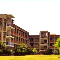 Nilgiri Hills Public School , F Block, Sector 50, Noida | Admission ...