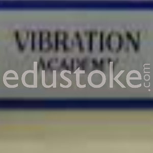 VIBRATION ACADEMY