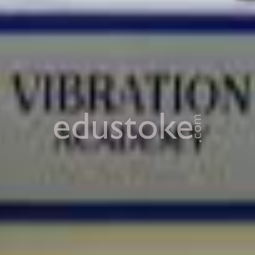 VIBRATION ACADEMY